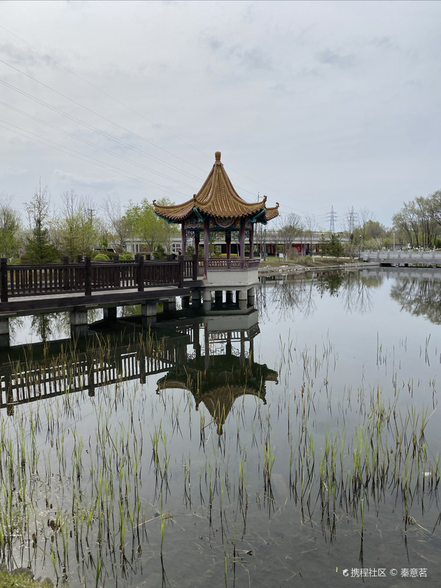 辽源市人民政府