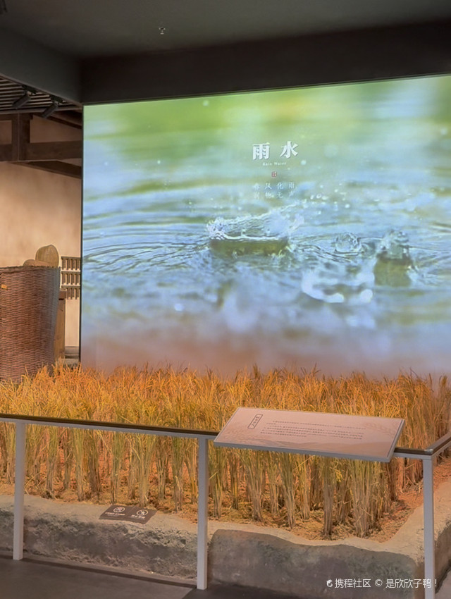 茂名市电白区博物馆(新馆)