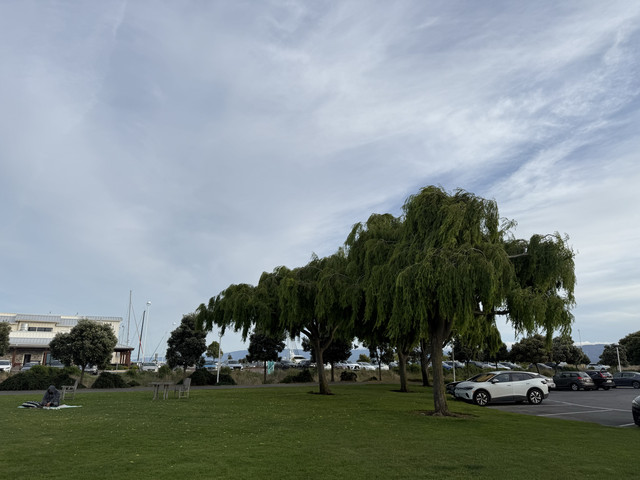 三亚国际游艇中心