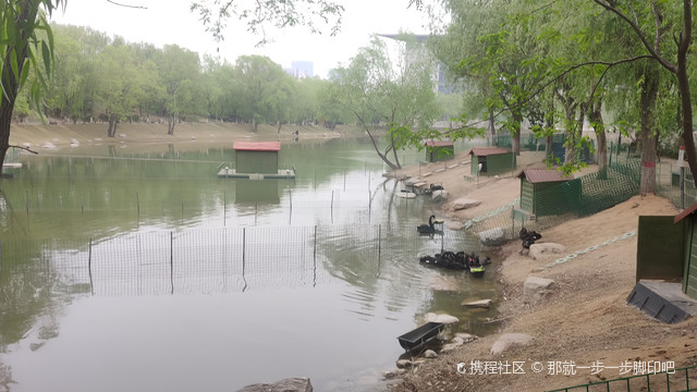 河南中医药大学(龙子湖校区)