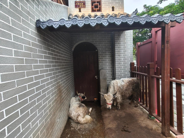 光明红木古镇动物园