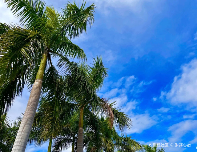 浪漫线石浔怡仁园