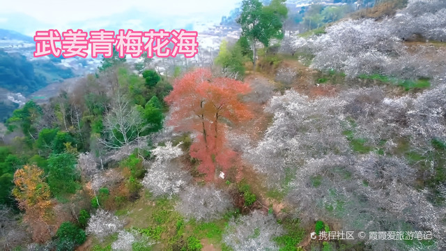 榄圩乡