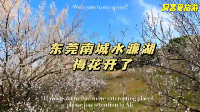 水濂山湖