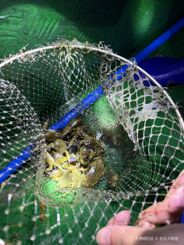飞浪赶海基地