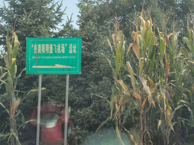 阳明堡镇