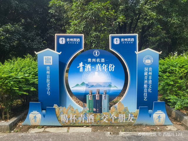 贵州青酒酒厂有限公司