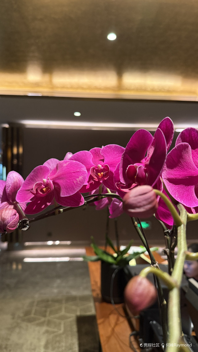 光明文化艺术中心