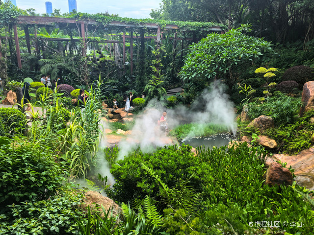 荫生植物园