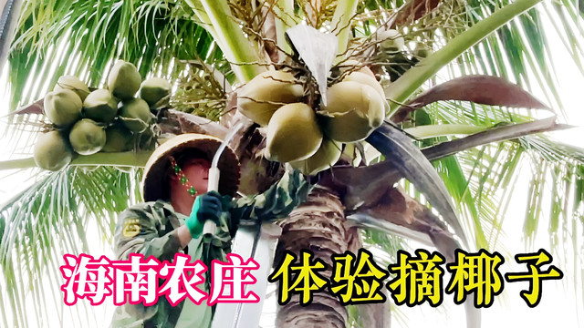 海南省国营西华农场