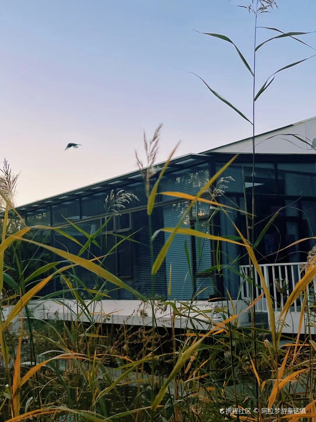 奥森书局(竹林店)