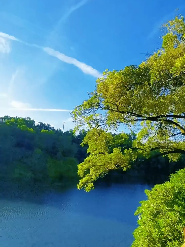 环大水坑水库碧道