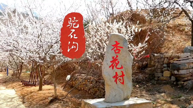 驼石沟村