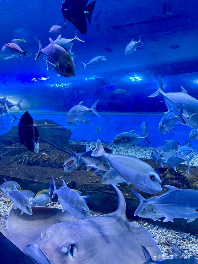 广州海洋世界