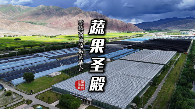 日喀则珠峰现代农业科技创新博览园