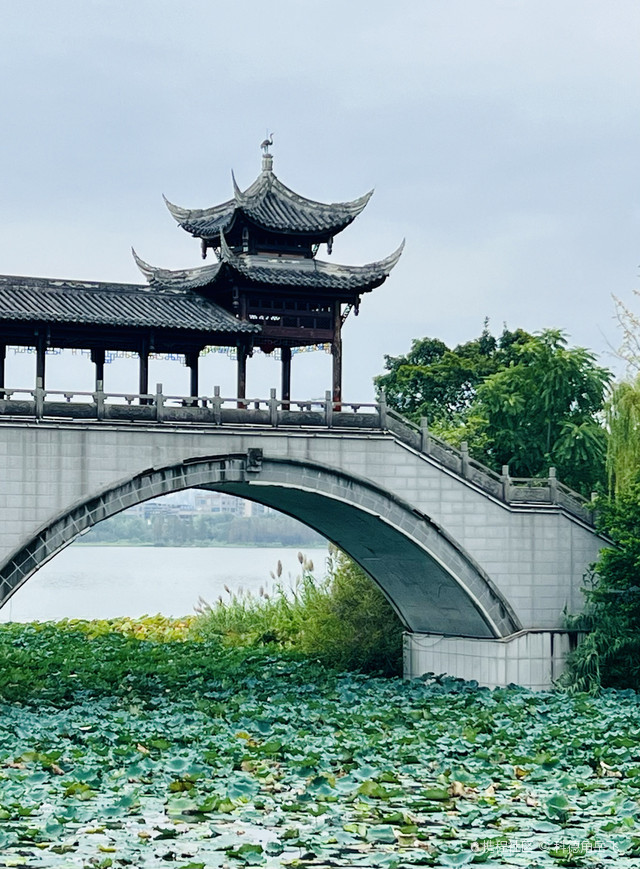 河东莲里公园