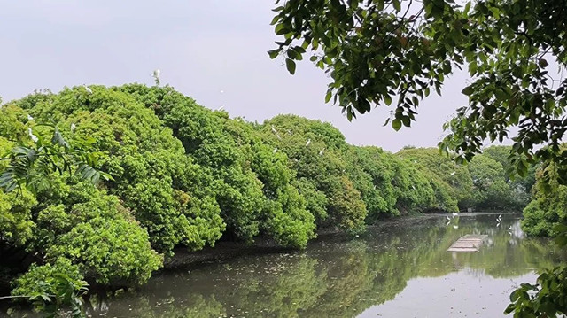 杭州市萧山区瓜沥雁荡湿地科普宣教基地