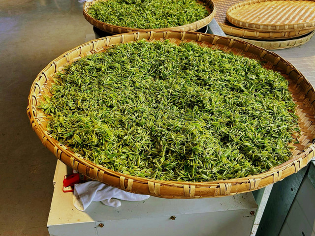 茶仙谷
