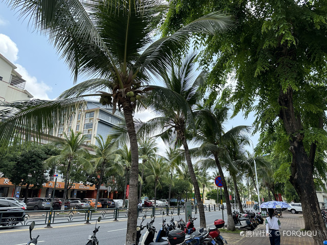 扬帆游艇俱乐部