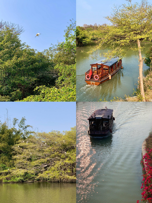 江门小鸟天堂碧道