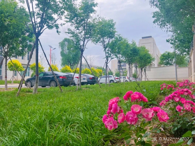 邢台应用技术职业学院