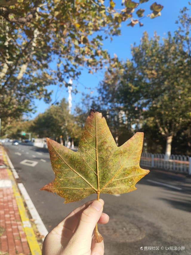 大连东软信息学院(软件园校区)