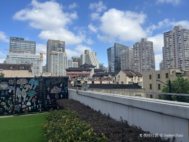 小小植物园