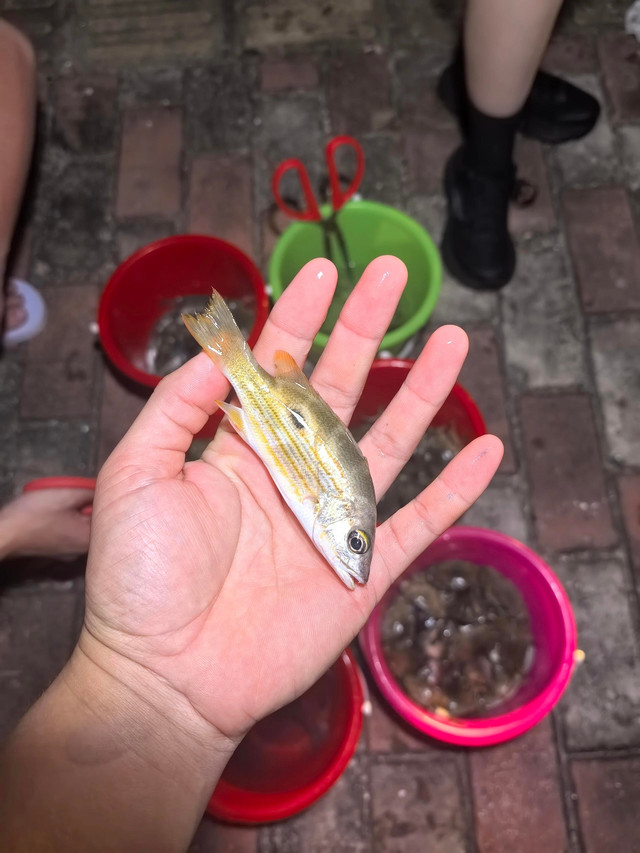 铁炉港