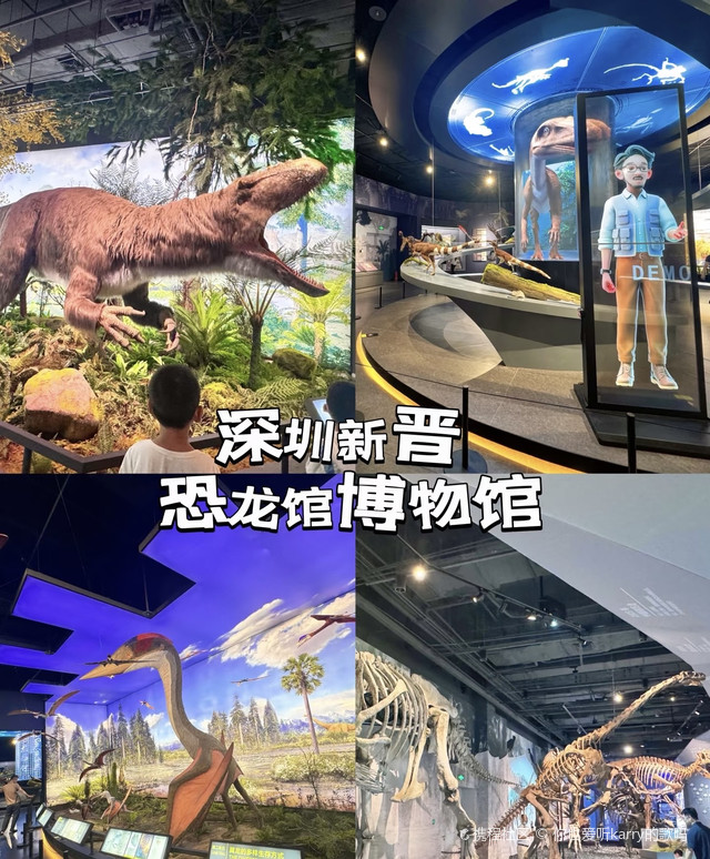 深圳恐龙博物馆