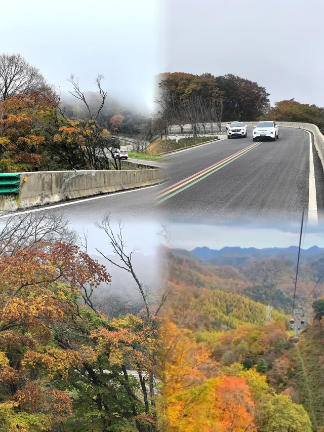 旺苍县盐井河森林公园