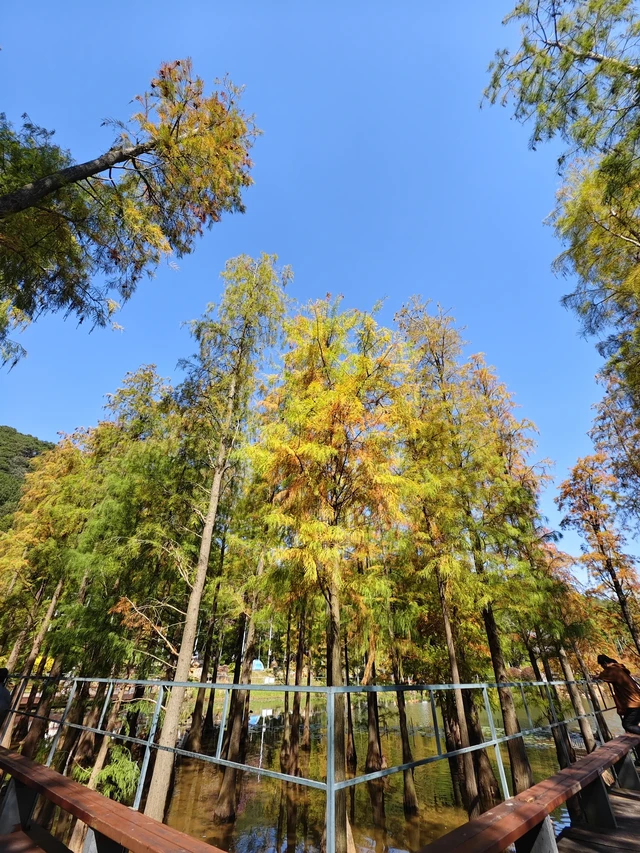 青秀山丛林乐园