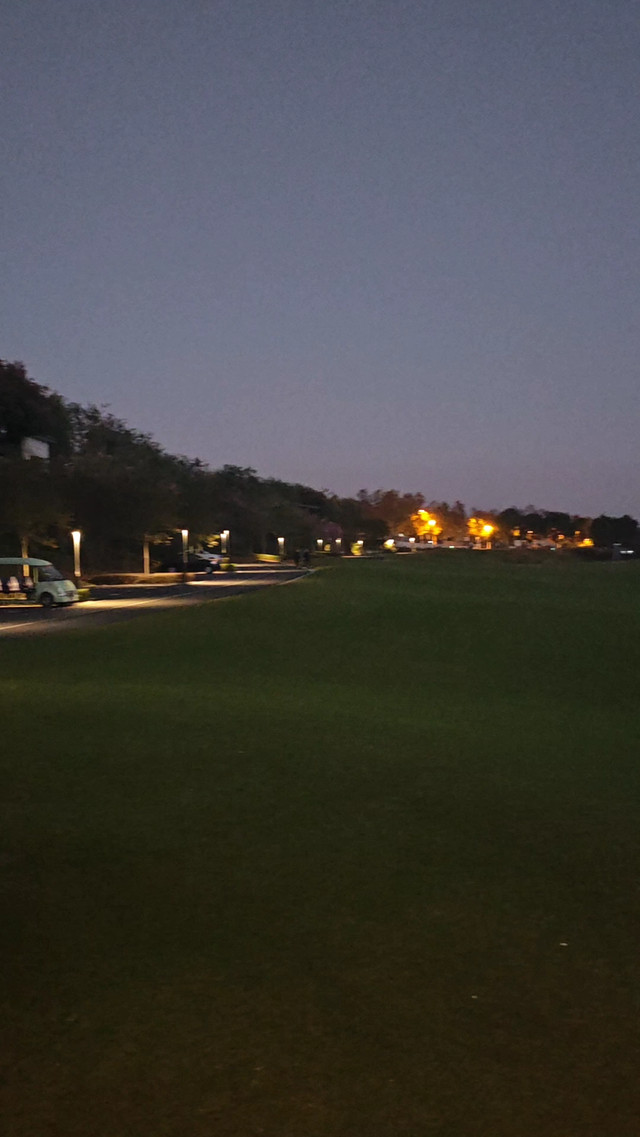 龙岩市人民政府