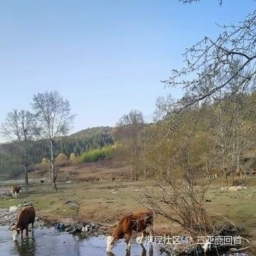 庞泉沟青禾谷风景区