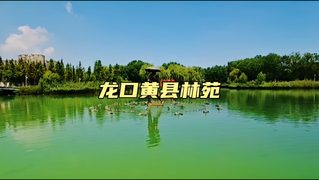 黄县林苑