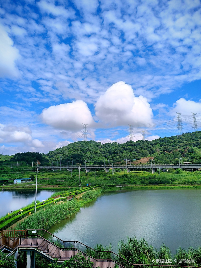 风行牛奶仙泉湖牧场