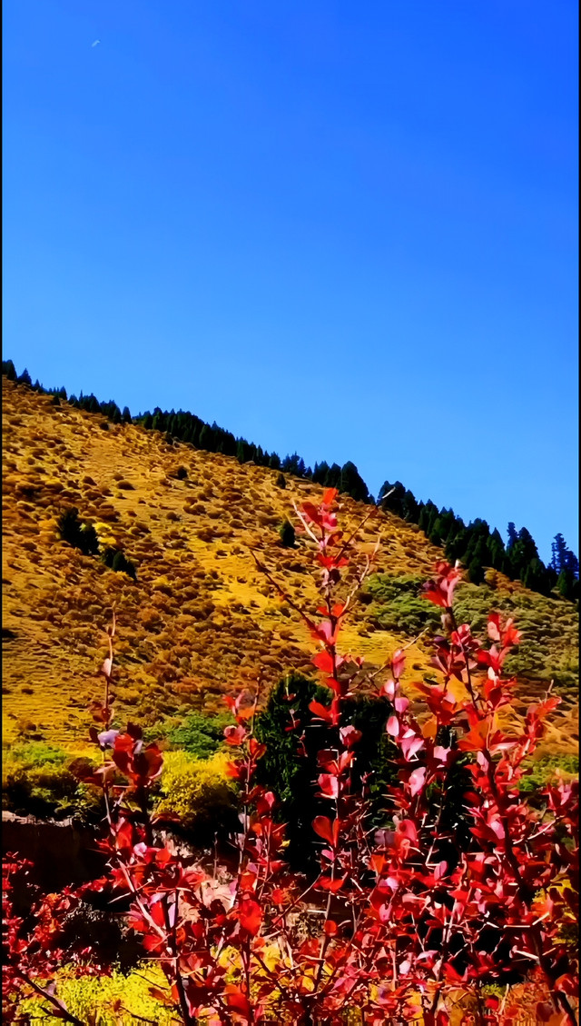 降扎乡