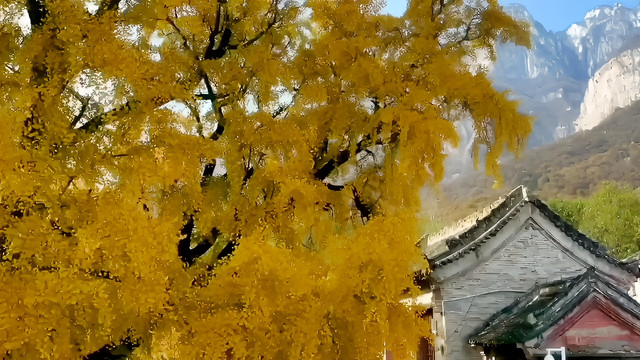 白云寺