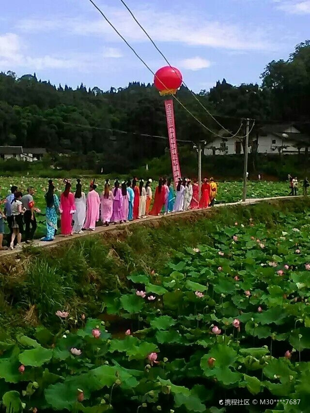 杨岭村