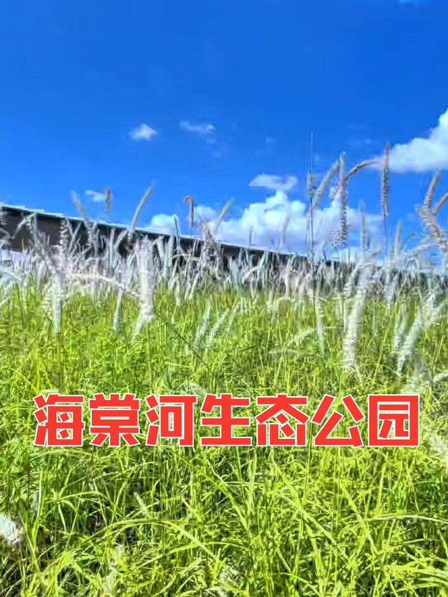 海棠生态河公园
