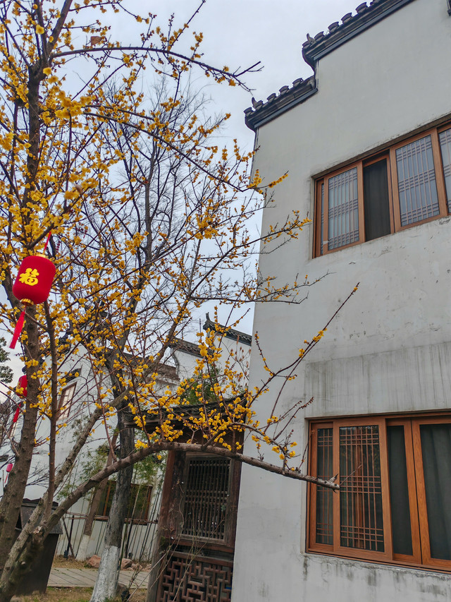 静谧商务钟点短休房（4小时体验）