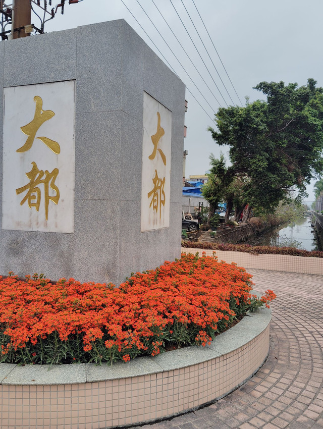 大都村