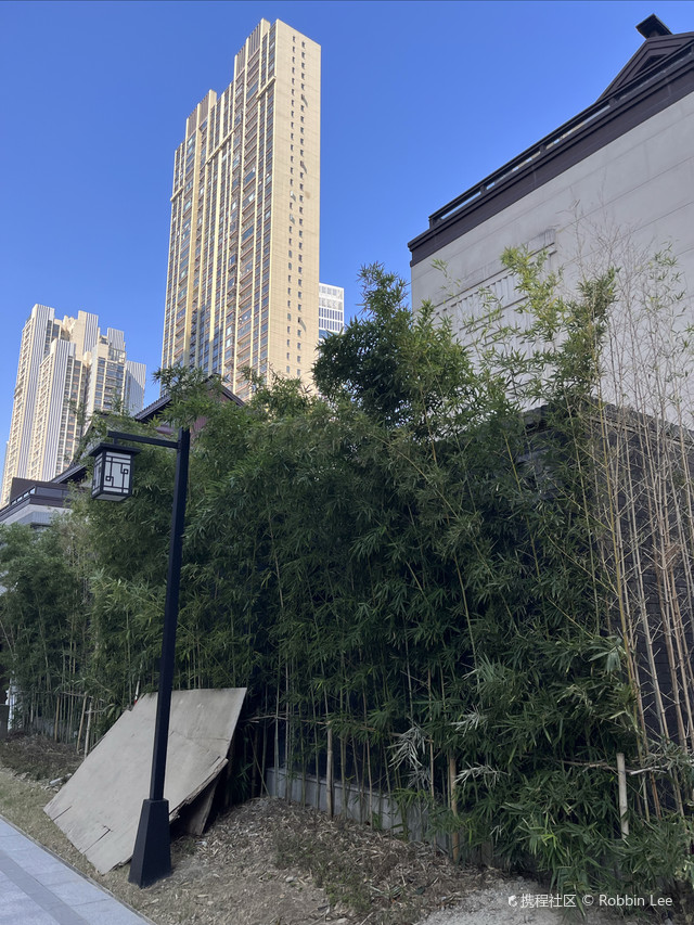 泰禾世茂佛山院子