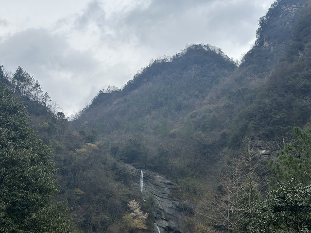 龙池古树公园