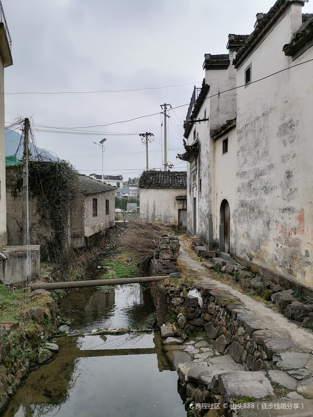 白杨村