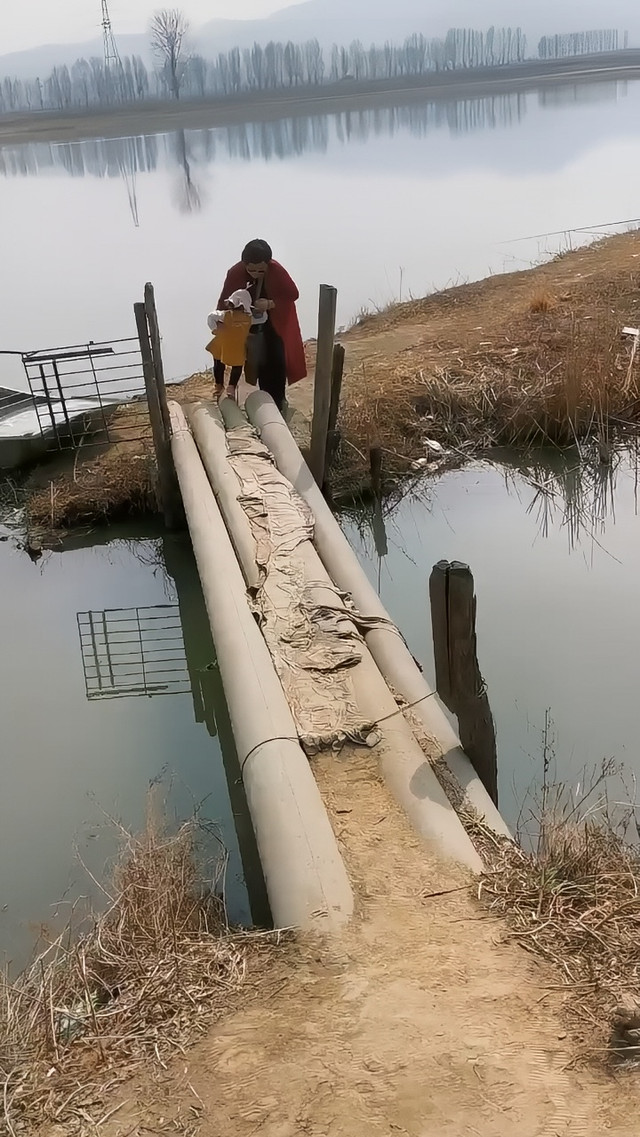 金山湖