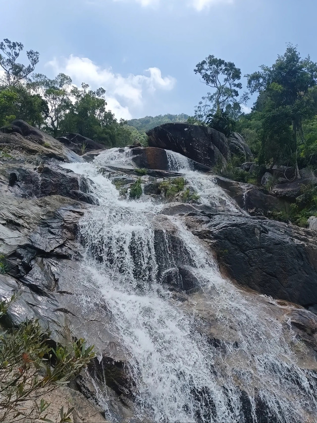 霸王岭