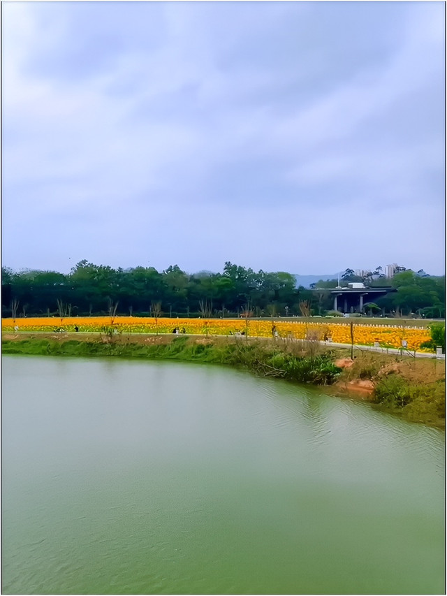 黄江镇