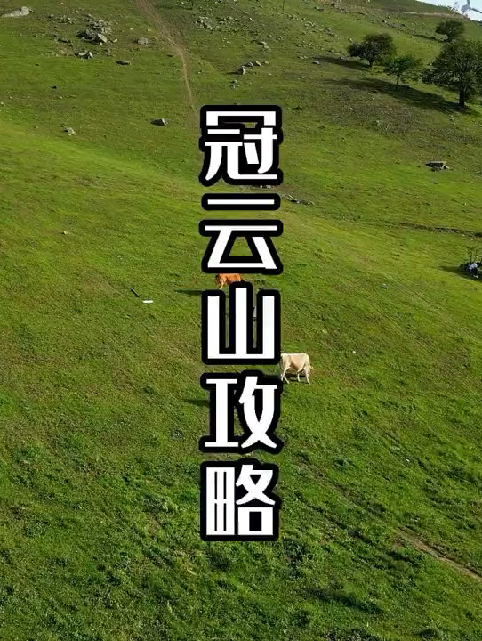 冠云山