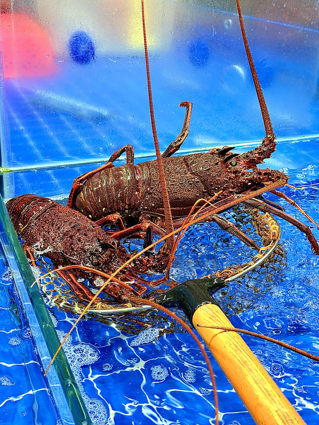 湘鲜府海鲜加工店(八爪鱼海鲜广场店)