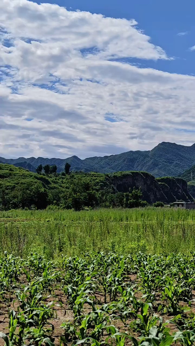 碧潭果岭景区